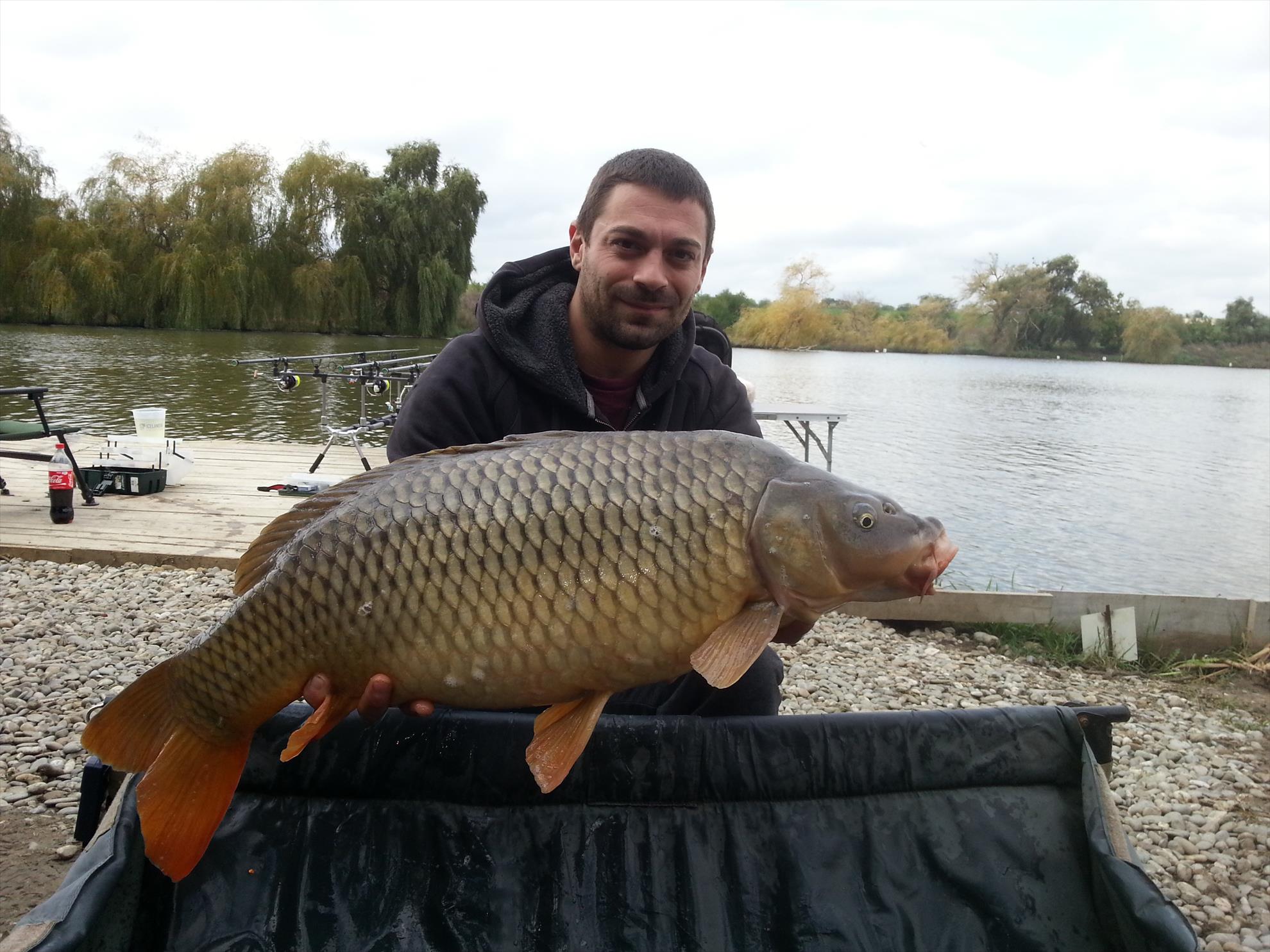 Hermes Peris 16 - 17 octombrie 2015 - 20151017125459.jpg